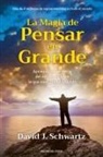 David J Schwartz - La magia de pensar en grande