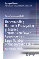 Bjarne Søndergaard Bukh - Understanding Harmonic Propagation in Meshed Transmission Power Systems with a Large Number of Underground Cables