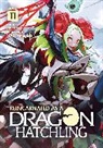 Necoco, NAJI Yanagida - Reincarnated as a Dragon Hatchling (Light Novel) Vol. 11