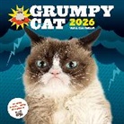 Grumpy Cat - Grumpy Cat 2026