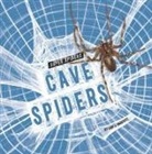Lisa J Amstutz - Cave Spiders