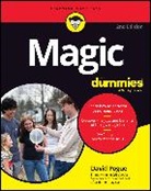 David Pogue, Pogue David - Magic For Dummies