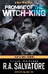 R A Salvatore, R.A. Salvatore - Promise of the Witch King: Dungeons & Dragons