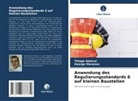 Thiago Alencar, George Menezes - Anwendung des Regulierungsstandards 6 auf kleinen Baustellen