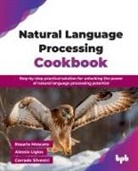 Alessio Ligios, Rosario Moscato, Corrado Silvestri - Natural Language Processing Cookbook