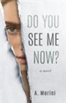 A. Morini - Do You See Me Now?