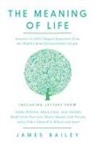 James Bailey - The Meaning of Life