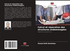 Ahmed Rafik Belakhdar - Calcul et réparation des structures endommagées