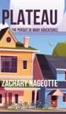 Zachary Nageotte - PLATEAU