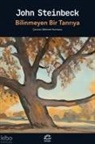 John Steinbeck - Bilinmeyen Bir Tanriya