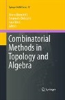 Bruno Benedetti, Emanuele Delucchi, Luca Moci - Combinatorial Methods in Topology and Algebra