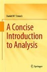 Daniel W. Stroock - A Concise Introduction to Analysis