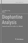Jörn Steuding - Diophantine Analysis