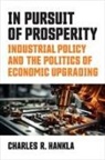 Charles R Hankla - In Pursuit of Prosperity