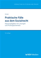 Michael Grosse - Praktische Fälle aus dem Sozialrecht