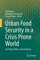 Amani Alfarra, Nathaniel K Newlands, Atif Kubursi, Nathaniel K. Newlands - Urban Food Security in a Crisis Prone World