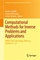 Lekbir Afraites, Amine Laghrib, Mourad Nachaoui - Computational Methods for Inverse Problems and Applications