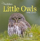 Workman Calendars, National Audubon Society, National Audubon Society, National Audubon Calendars Society, Workman Calendars - Audubon Little Owls Mini Wall Calendar 2025