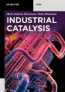 Mark Anthony Benvenuto, Heinz Plaumann - Industrial Catalysis