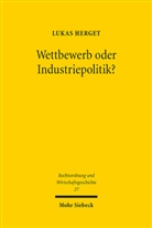 Lukas Herget - Wettbewerb oder Industriepolitik?