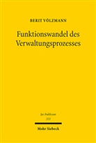 Berit Völzmann - Funktionswandel des Verwaltungsprozesses