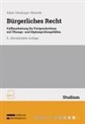 Wolfgang Faber, Albert Heidinger, Kristin Nemeth - Bürgerliches Recht