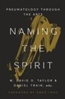 W David O Taylor, W. David O. Taylor, Daniel Train - Naming the Spirit