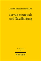 Armin Heßelschwerdt - Servus communis und Noxalhaftung