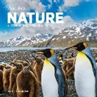 Workman Calendars, National Audubon Society, National Audubon Society, National Audubon Calendars Society, Workman Calendars - Audubon Nature Wall Calendar 2025