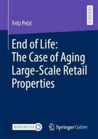 Fritz Pelzl - End of Life: The Case of Aging Large-Scale Retail Properties