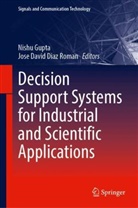 David Diaz Roman, Jose David Diaz Roman, Nishu Gupta - Decision Support Systems for Industrial and Scientific Applications