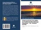 Katia Aparecida Mesquita - Untersuchung von POPs im Sediment des Billings Stausees - SP, mittels GC/MS
