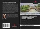 Amanda Gonçalves Moreira - Flocculent and granular sludge intermittent aerobic systems