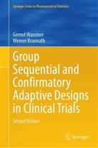 Werner Brannath, Gernot Wassmer - Group Sequential and Confirmatory Adaptive Designs in Clinical Trials