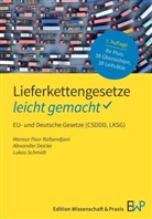 Al Deicke, Alexander Deicke, Pour Rafsendjani, Mansur Pour Rafsendjani, Schmidt, Lukas Schmidt - Lieferkettengesetze - leicht gemacht