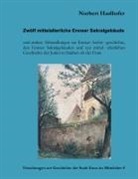 Norbert Haslhofer - Zwölf mittelalterliche Ennser Sakralgebäude und andere Abhandlungen