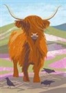 Jane Smith - Nature Notebook: Highland Cow