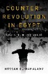 Hossam el-Hamalawy - Counterrevolution in Egypt
