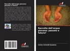 Carlos Schmidt Quadros - Raccolta dell'acqua piovana: passato o futuro?