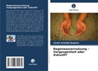 Carlos Schmidt Quadros - Regenwassernutzung - Vergangenheit oder Zukunft?