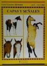 Jane Holderness-Roddam - Capas y señales