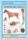 Chris Colles - Anatomía del caballo