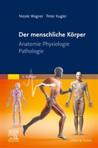 Peter Kugler, Nicole Wagner - Der menschliche Körper
