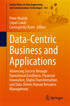 Carnogurský Karol, Čarnogurský Karol, Copus Lukás, Copuš Lukáš, Peter Madzík - Data-Centric Business and Applications