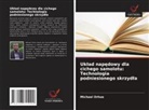 Michael Orhue - Uklad napedowy dla cichego samolotu: Technologia podniesionego skrzydla
