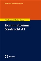 Florian Nicolai, Felix Ruppert - Examinatorium Strafrecht AT