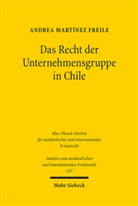 Andrea Martínez Freile - Das Recht der Unternehmensgruppe in Chile