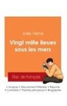Jules Verne - Réussir son Bac de français 2025 : Analyse du roman Vingt mille lieues sous les mers de Jules Verne