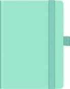 BRUNNEN 1073266526 | Taschenkalender Kompagnon Mod. 732 66 2026 | A6, Kunststoff, hellgrün