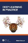 Mehdi Ghayoumi - Deep Learning in Practice